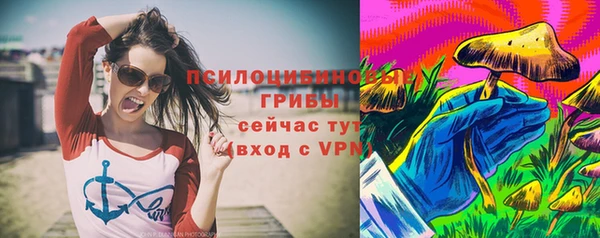 тгк Белокуриха