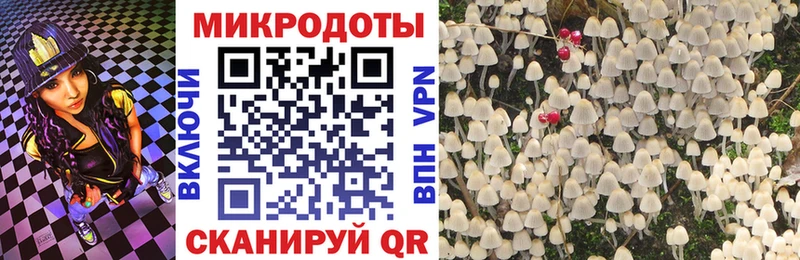 цены наркотик  Люберцы  Псилоцибиновые грибы MAGIC MUSHROOMS 